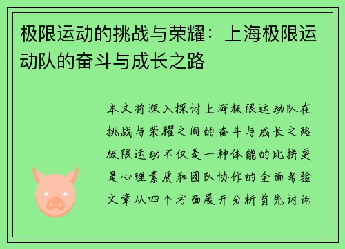 极限运动的挑战与荣耀：上海极限运动队的奋斗与成长之路